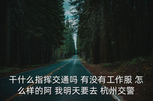 干什么指揮交通嗎 有沒有工作服 怎么樣的阿 我明天要去 杭州交警