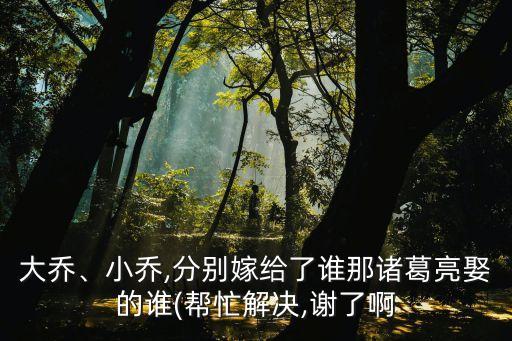 大喬嫁給了誰,被誤認為是喬大喬被稱為喬靜小喬
