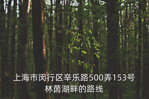 上海市閔行區辛樂路500弄153號林茵湖畔的路線
