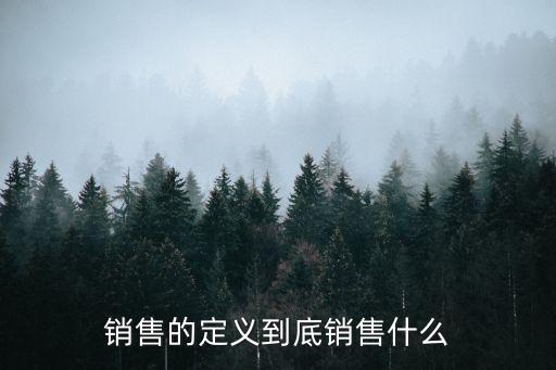 銷售的定義到底銷售什么