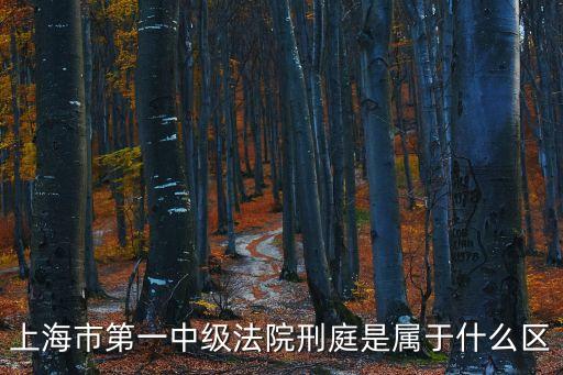 上海市第一中級法院刑庭是屬于什么區