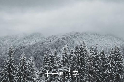十一畫，十一畫的字有哪些