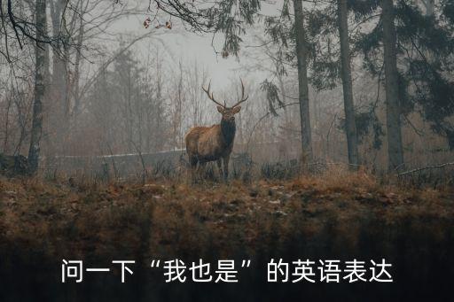 問一下“我也是”的英語表達