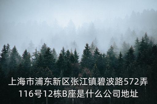 上海市浦東新區(qū)張江鎮(zhèn)碧波路572弄116號(hào)12棟B座是什么公司地址