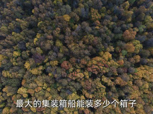 最大的集裝箱船，最大的集裝箱船能裝多少個箱子
