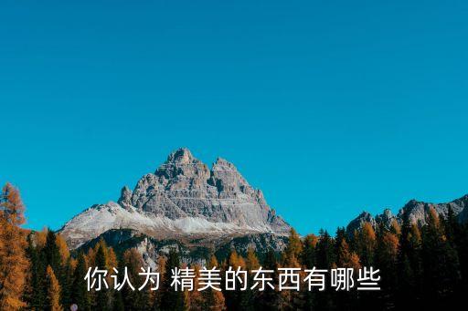 你認為 精美的東西有哪些