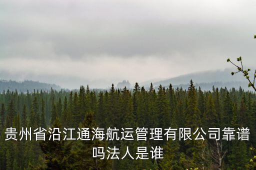 貴州省沿江通海航運管理有限公司靠譜嗎法人是誰