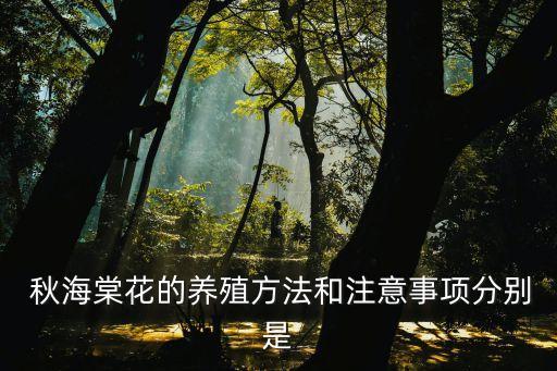  秋海棠花的養殖方法和注意事項分別是