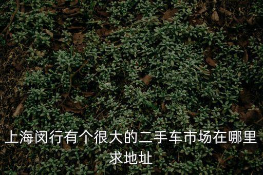 上海閔行有個很大的二手車市場在哪里求地址