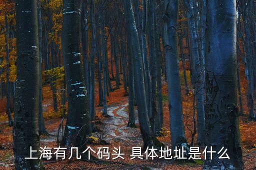上海有幾個(gè)碼頭 具體地址是什么