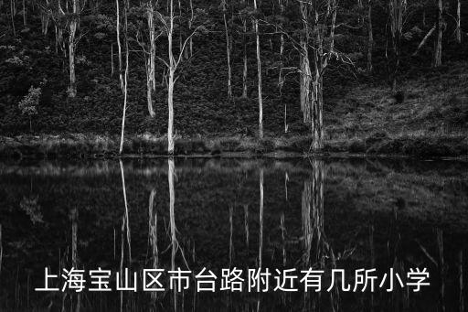 上海市大場鎮姜家橋小學，上海市寶山區哪幾個學校距離大場鎮近
