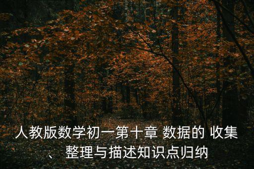 人教版數學初一第十章 數據的 收集、 整理與描述知識點歸納