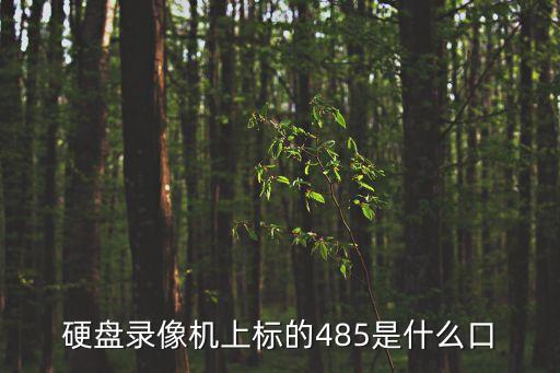 硬盤錄像機上標的485是什么口