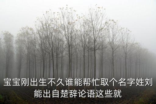 寶寶剛出生不久誰能幫忙取個名字姓劉能出自楚辭論語這些就