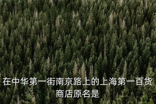 在中華第一街南京路上的上海第一百貨商店原名是
