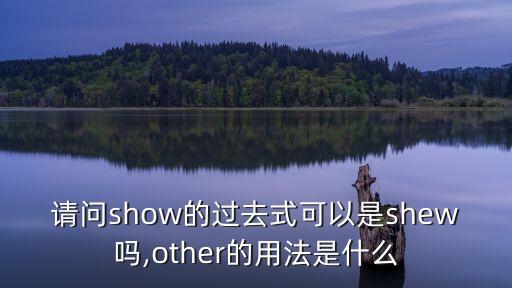 show過去式,精選新加坡大選】第一集