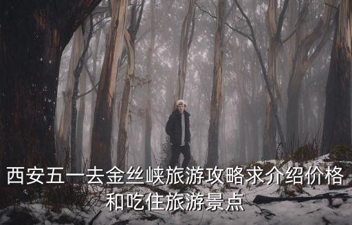 西安五一去金絲峽旅游攻略求介紹價格和吃住旅游景點