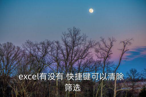 excel有沒有 快捷鍵可以清除 篩選