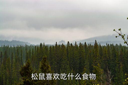 松鼠喜歡吃什么食物