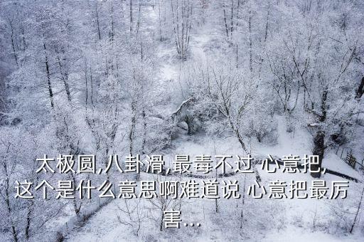 心意把,意大利六合拳發展成為武術體系之一