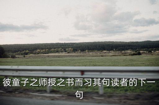 彼童子之師授之書而習(xí)其句讀者的下一句