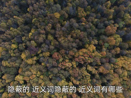 隱蔽的 近義詞隱蔽的 近義詞有哪些