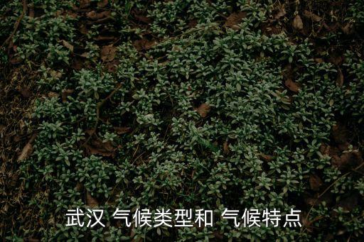  武漢 氣候類型和 氣候特點