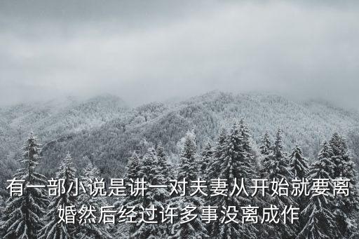 有一部小說是講一對夫妻從開始就要離婚然后經(jīng)過許多事沒離成作
