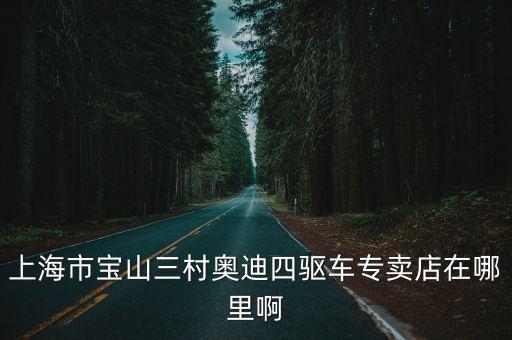 上海市寶山三村奧迪四驅車專賣店在哪里啊