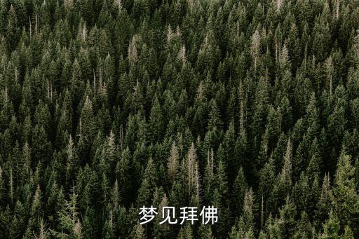 夢(mèng)見(jiàn)拜佛，夢(mèng)見(jiàn)拜佛