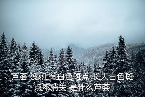 蘆薈 沒(méi)刺 有白色斑點(diǎn) 長(zhǎng)大白色斑點(diǎn)不消失 是什么蘆薈