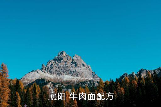  襄陽 牛肉面配方