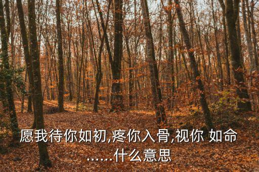 愿我待你如初,疼你入骨,視你 如命……什么意思