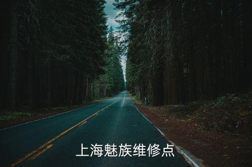 上海魅族維修點