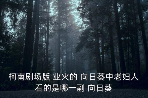 業火的向日葵,二戰業火向日葵二戰梵高再現