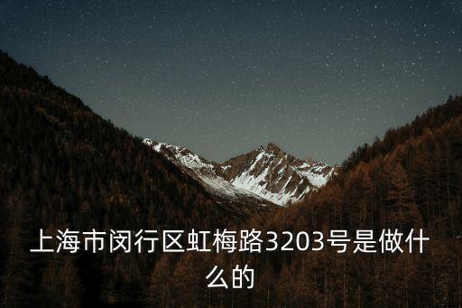 上海市閔行區(qū)老鴻興湯包館，老鴻興湯包館怎么樣