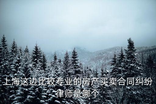 上海市專業的合同審查律師哪個好，上海最好的合同律師