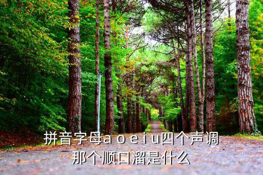 聲調歌口訣，聲調口決有不放過沒找i并列標在后單個韻母不必