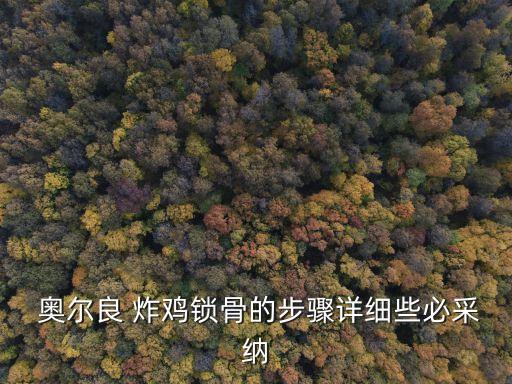 奧爾良炸雞,炸雞怎么炸才好吃!