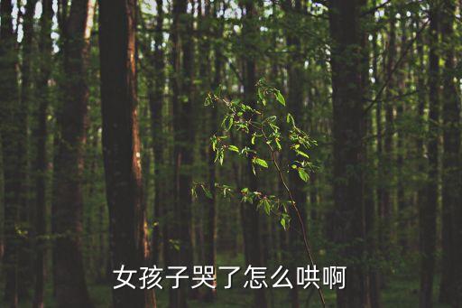 女孩子哭了怎么哄啊
