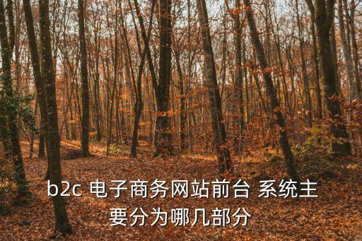  b2c 電子商務網站前臺 系統主要分為哪幾部分