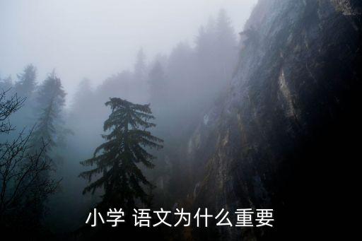 語文學習的重要性,語文是學習的工具,學生需要打好基礎(chǔ)