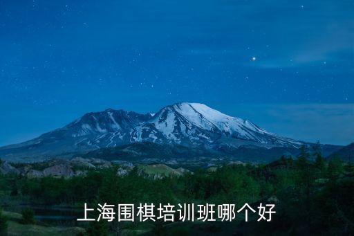 上海圍棋培訓班哪個好
