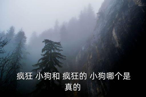 瘋狂的小狗,皇家狗糧產品豐富營養均衡抗疫有效