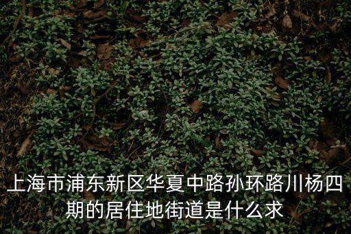 上海市川楊新苑4期屬于哪個小區(qū)，上海市浦東新區(qū)華夏中路孫環(huán)路川楊四期的居住地街道是什么求