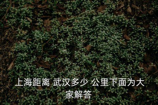  上海距離 武漢多少 公里下面為大家解答