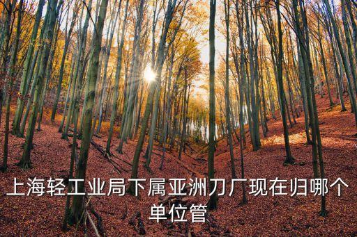 上海市輕工業局，上海輕工業局下屬亞洲刀廠現在歸哪個單位管
