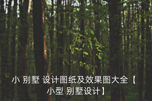 小 別墅 設計圖紙及效果圖大全【 小型 別墅設計】