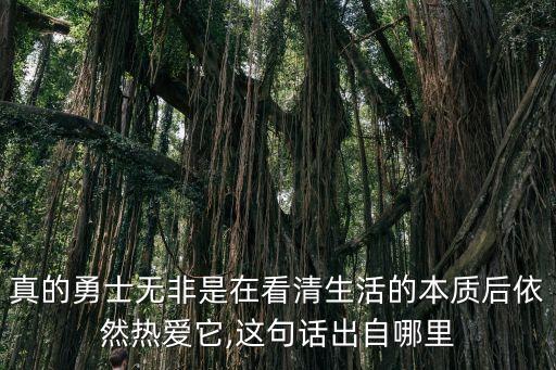 真的勇士無非是在看清生活的本質后依然熱愛它,這句話出自哪里