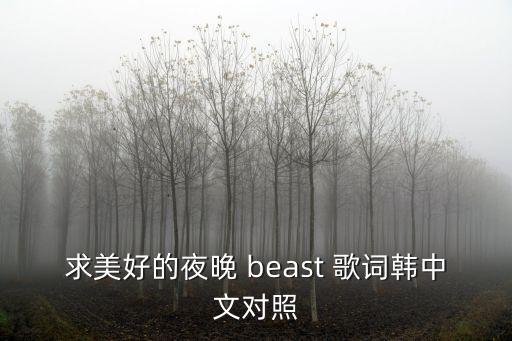 求美好的夜晚 beast 歌詞韓中文對照